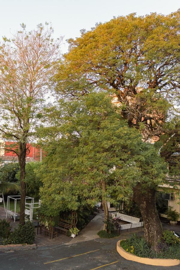 Das Heim Hotel 亚松森 外观 照片